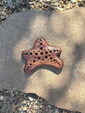 Starfish Soap Dish